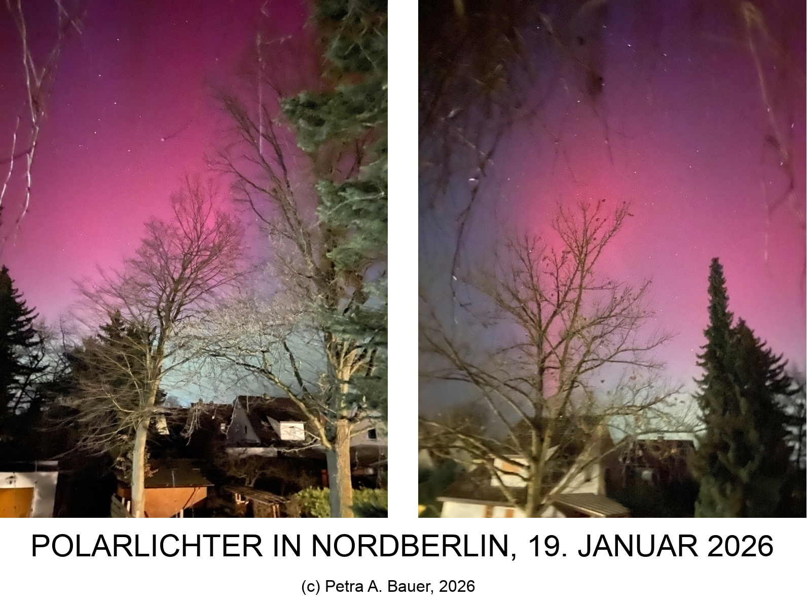 Polarlichter am 19. Januar 2026 in Berlin. Fotos: Petra A. Bauer