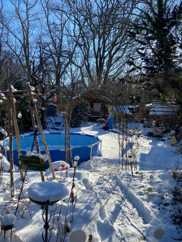 Unser Garten am 11. Januar 2026